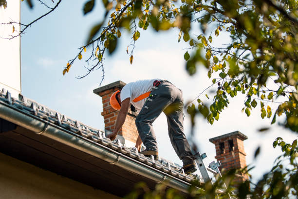 Best Rubber Roofing (EPDM, TPO)  in Galena, IL