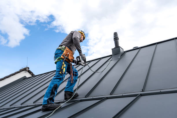 Best Sheet Metal Roofing  in Galena, IL