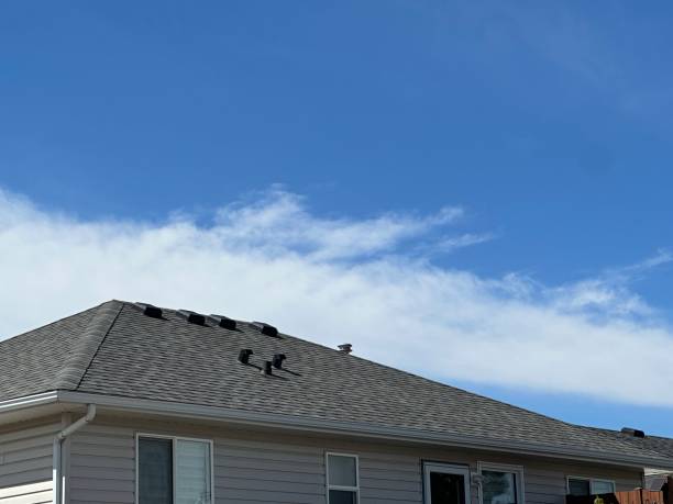 Best 4 Ply Roofing  in Galena, IL